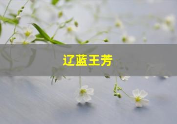 辽蓝王芳