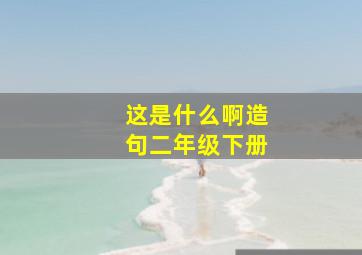 这是什么啊造句二年级下册