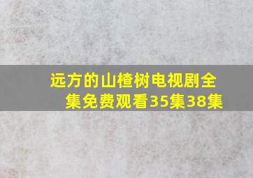 远方的山楂树电视剧全集免费观看35集38集