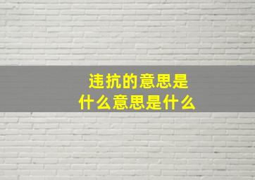 违抗的意思是什么意思是什么