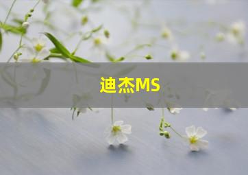 迪杰MS