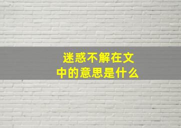 迷惑不解在文中的意思是什么