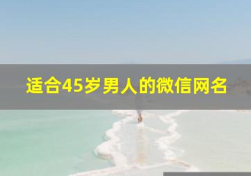 适合45岁男人的微信网名