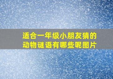 适合一年级小朋友猜的动物谜语有哪些呢图片