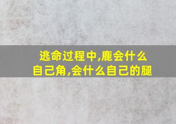 逃命过程中,鹿会什么自己角,会什么自己的腿