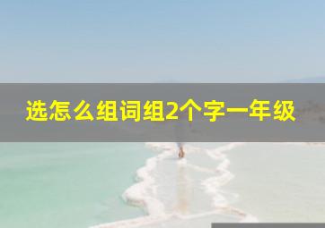 选怎么组词组2个字一年级