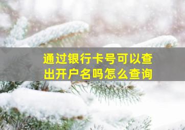 通过银行卡号可以查出开户名吗怎么查询