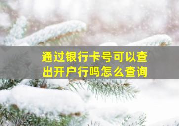 通过银行卡号可以查出开户行吗怎么查询