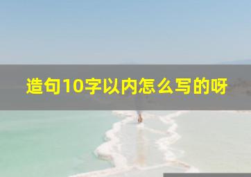 造句10字以内怎么写的呀