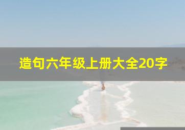 造句六年级上册大全20字