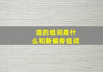 造的组词是什么和新偏旁组词