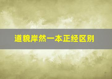 道貌岸然一本正经区别