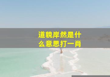 道貌岸然是什么意思打一肖