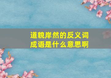 道貌岸然的反义词成语是什么意思啊