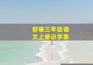 部编三年级语文上册识字表