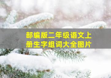 部编版二年级语文上册生字组词大全图片