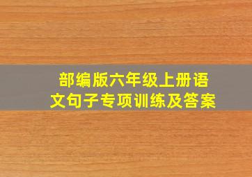 部编版六年级上册语文句子专项训练及答案