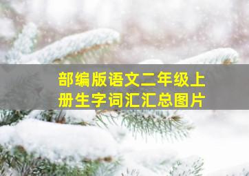 部编版语文二年级上册生字词汇汇总图片