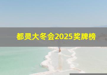 都灵大冬会2025奖牌榜