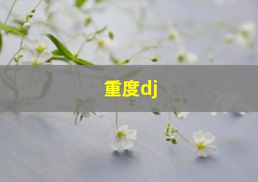 重度dj