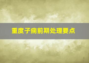 重度子痫前期处理要点