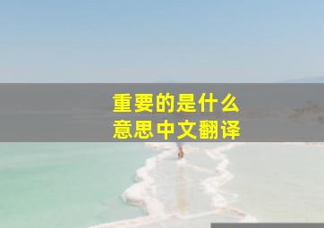 重要的是什么意思中文翻译