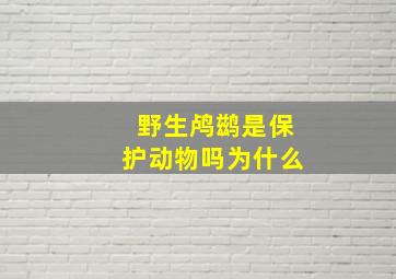 野生鸬鹚是保护动物吗为什么