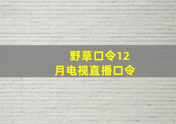 野草口令12月电视直播口令