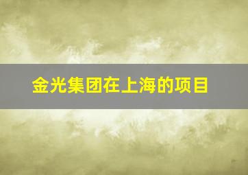 金光集团在上海的项目