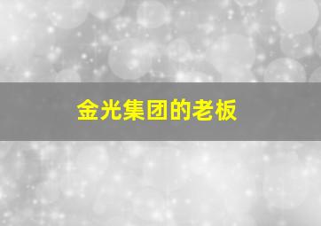 金光集团的老板