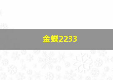 金蝶2233