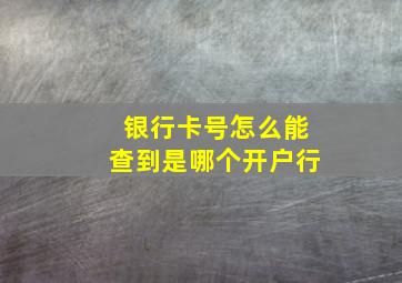 银行卡号怎么能查到是哪个开户行