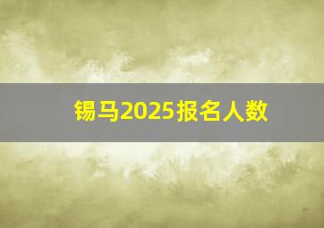 锡马2025报名人数