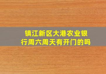 镇江新区大港农业银行周六周天有开门的吗