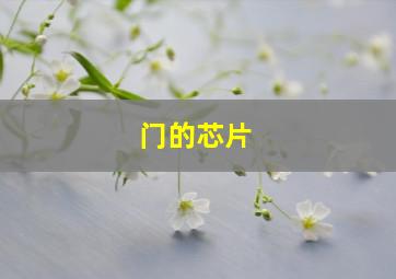 门的芯片