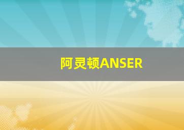 阿灵顿ANSER