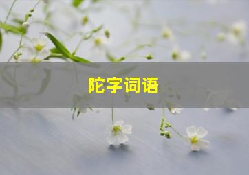 陀字词语