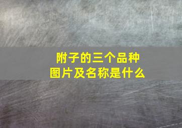 附子的三个品种图片及名称是什么