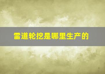 雷道轮挖是哪里生产的