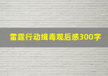 雷霆行动缉毒观后感300字