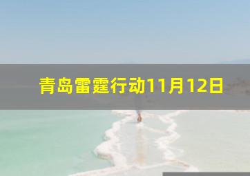 青岛雷霆行动11月12日