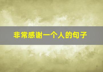 非常感谢一个人的句子