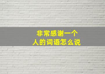 非常感谢一个人的词语怎么说