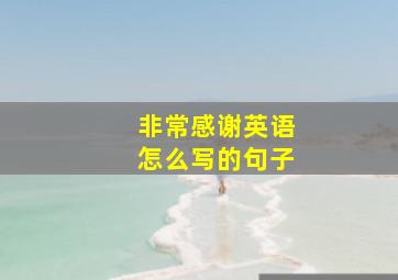 非常感谢英语怎么写的句子