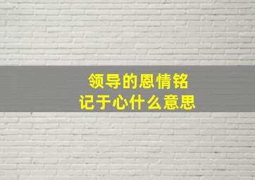 领导的恩情铭记于心什么意思