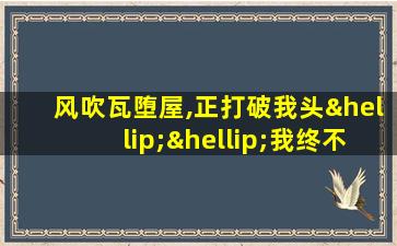 风吹瓦堕屋,正打破我头……我终不嗔渠,此瓦不自由