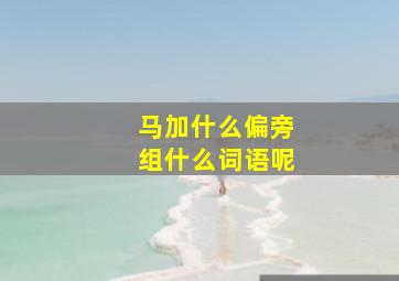 马加什么偏旁组什么词语呢