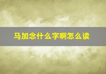 马加念什么字啊怎么读