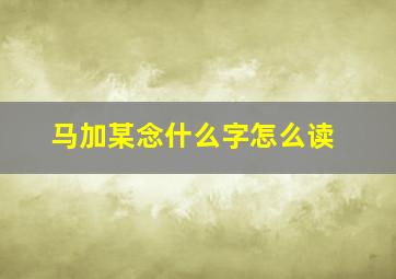 马加某念什么字怎么读