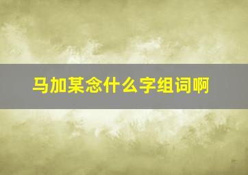 马加某念什么字组词啊